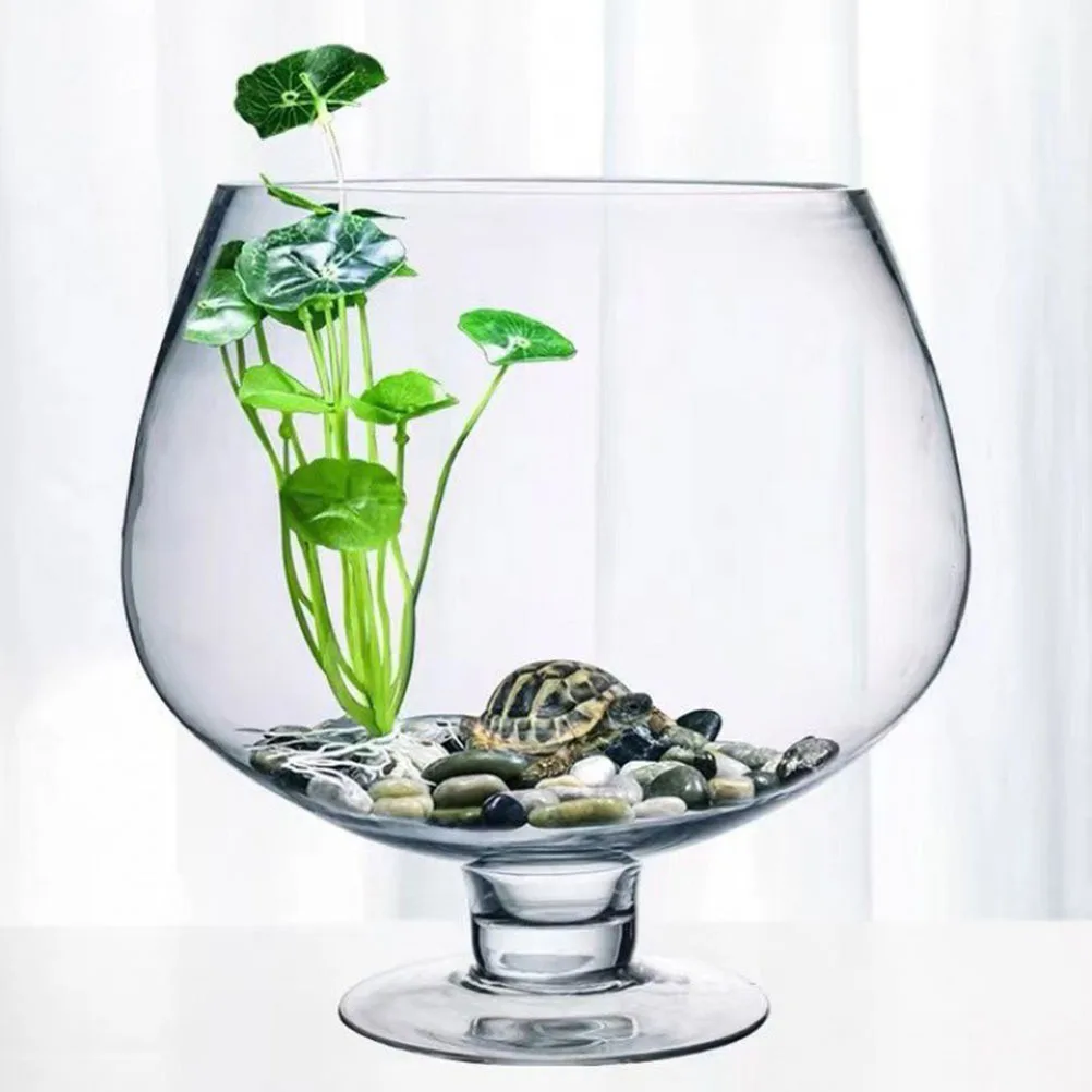 

Small Transparent Glass Fish Bowl Desktop Aquarium Vase Creative Home Office Fish Tank Decorative Betta Bowl Delicate Betta Tank