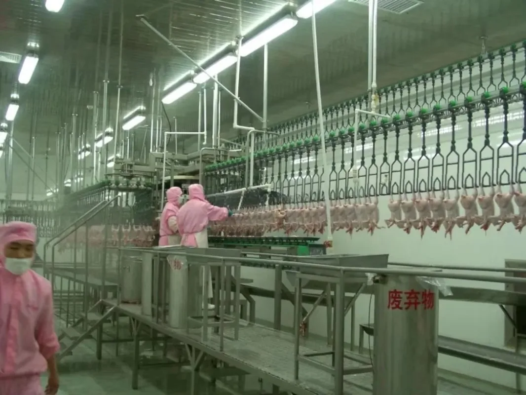 High Quality Poultry Slaughtering Equipment/Chicken Slaughterhouse Line