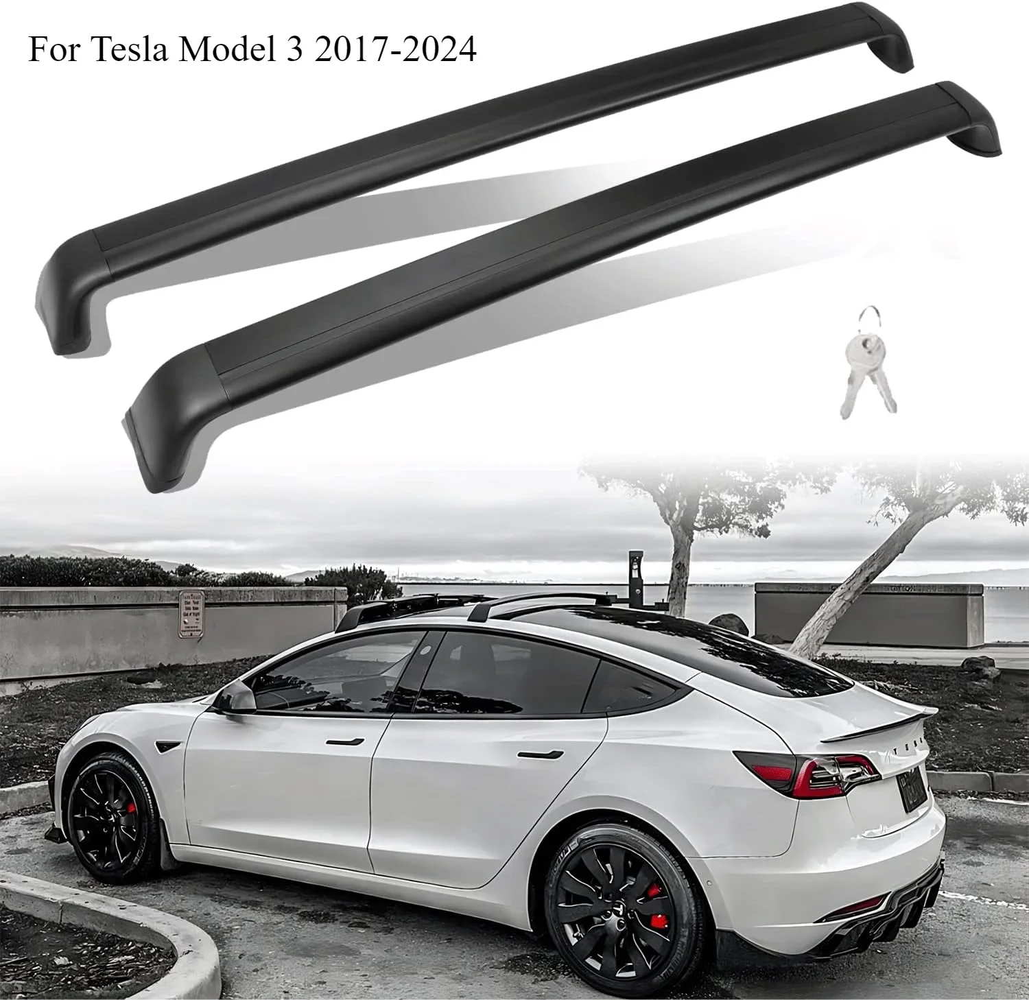 For Model 3 2017-24