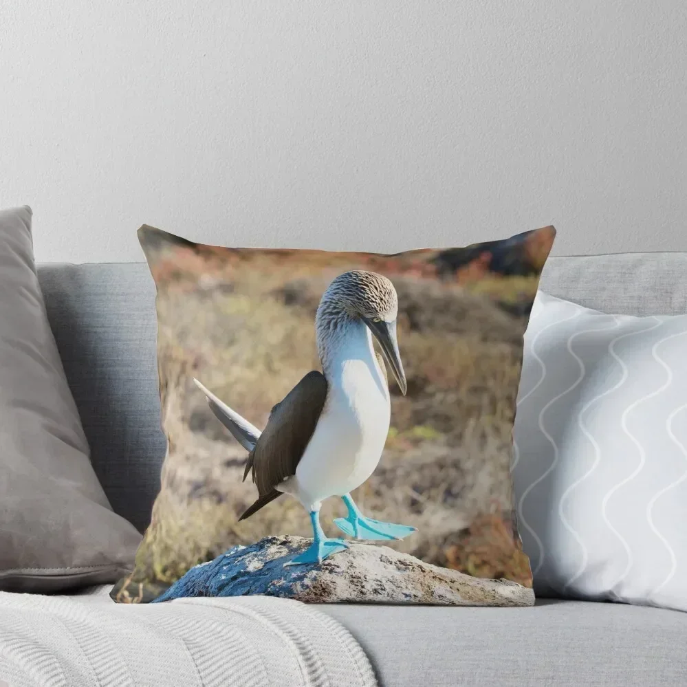 

Blue Footed Booby Throw Pillow covers for pillows Luxury Cushion Cover pillow