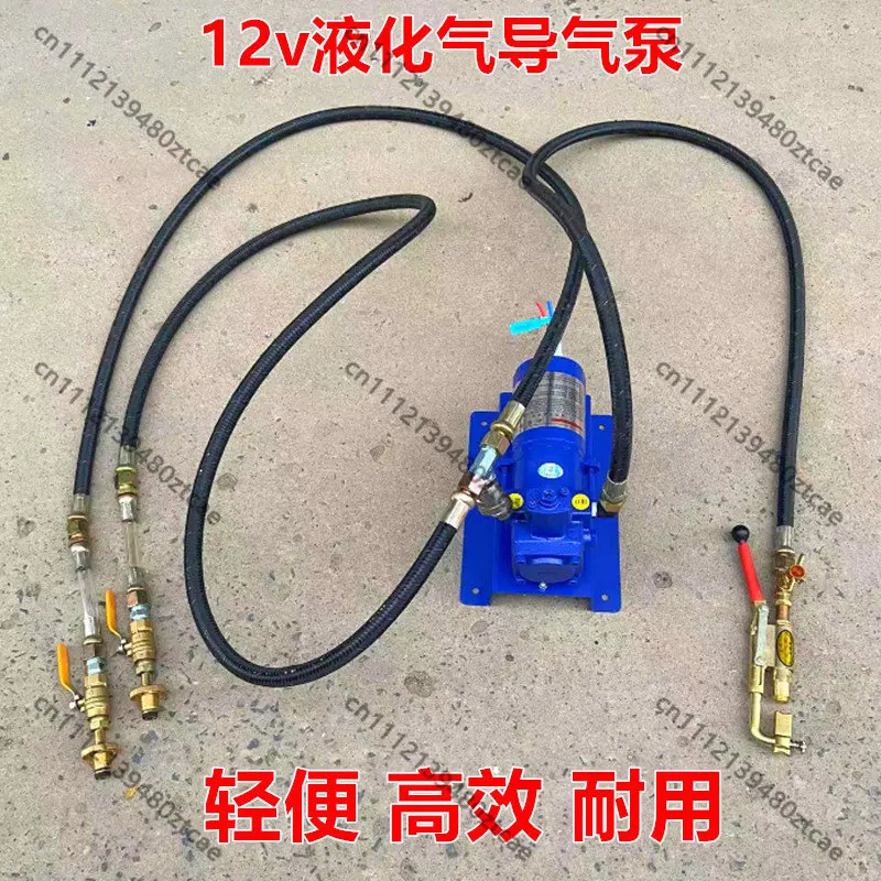 Portable LPG Gas Transfer Pump, 12V/24V DC Explosion-Proof Motor, Propane Gas Cylinder Refill Pump
