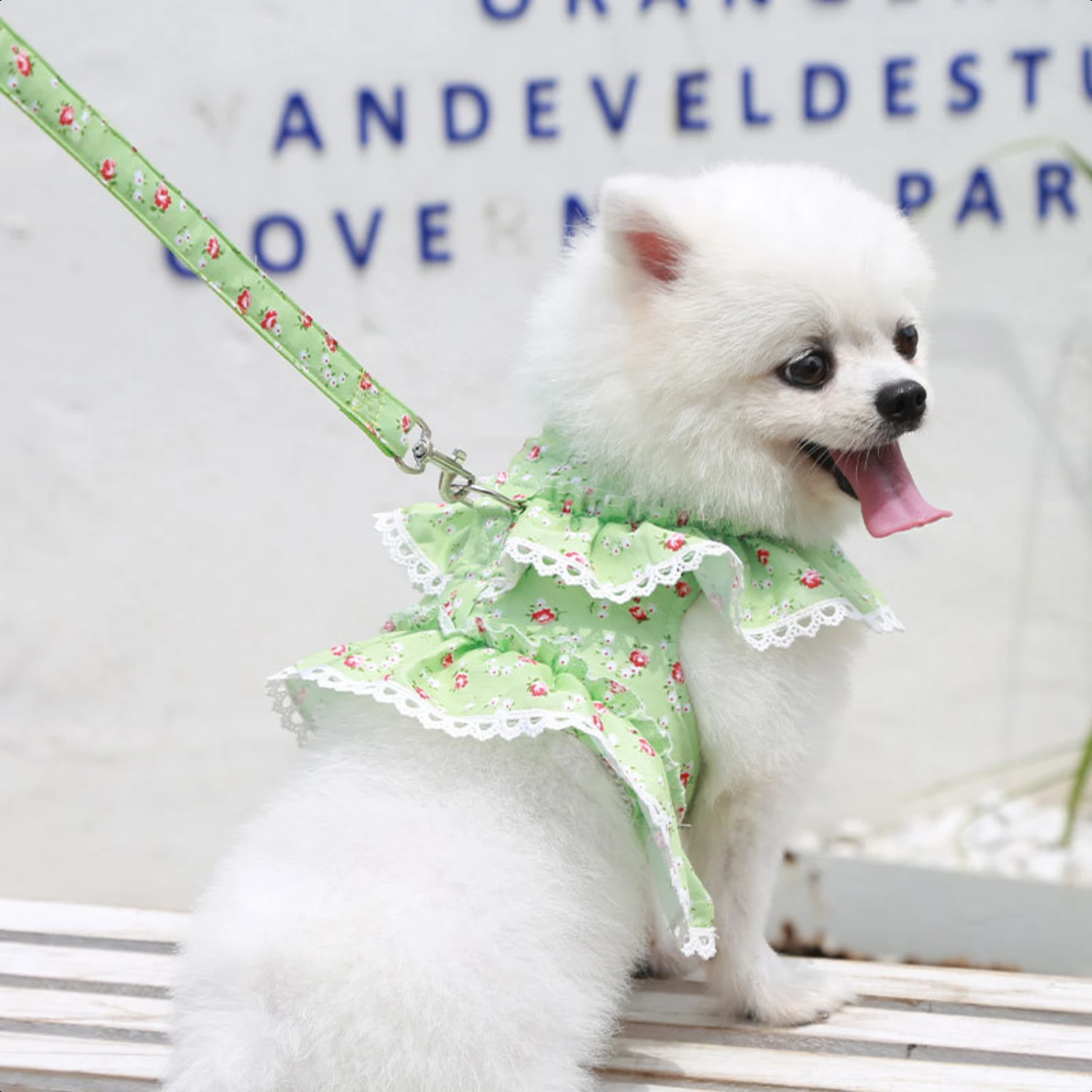 for furry your and and pet trendy, with friend's walks floral vest. stylish Elevate Perfect out print look this daily chic, lace