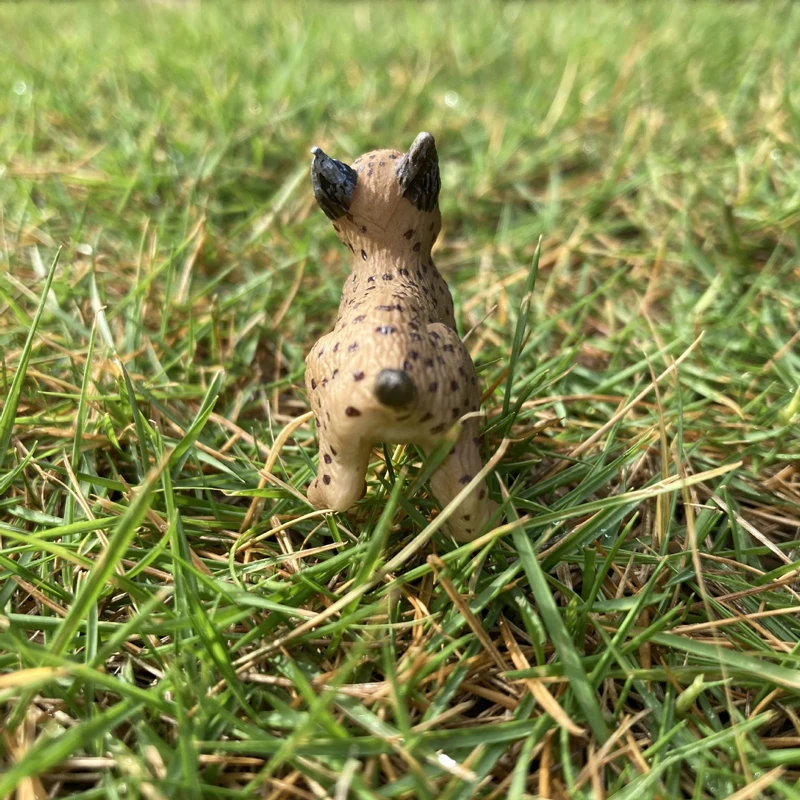 Realistic Animal Toy Model Mini Baby Eurasian lynx Resin Figure Figurine Home/Office Decor Collect Toy Kid Early Education