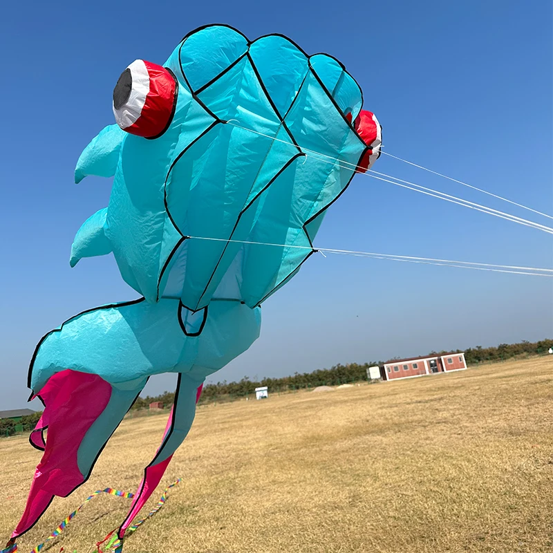 3-color Goldfish Soft Kite Large Animal Long Tailed Fish 3D Beach Kites with Tail Wear-resistant Easy To Fly and Tear Resistant