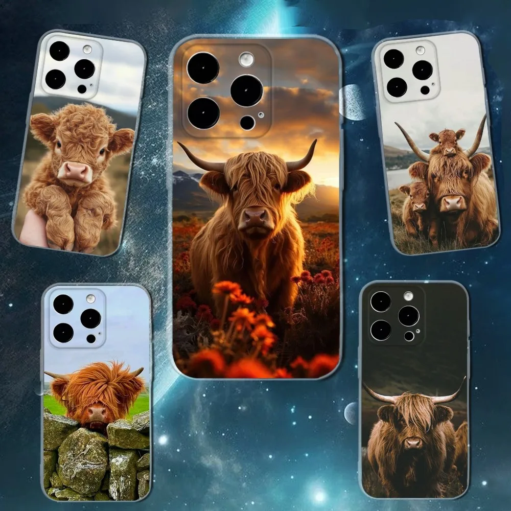 

Cute Highland Cow Phone Case For iPhone 16,15,14,13,12,11 Plus,Pro,Max,XR,XS,X,7,8 SE,Mini Transparent Silicone Soft