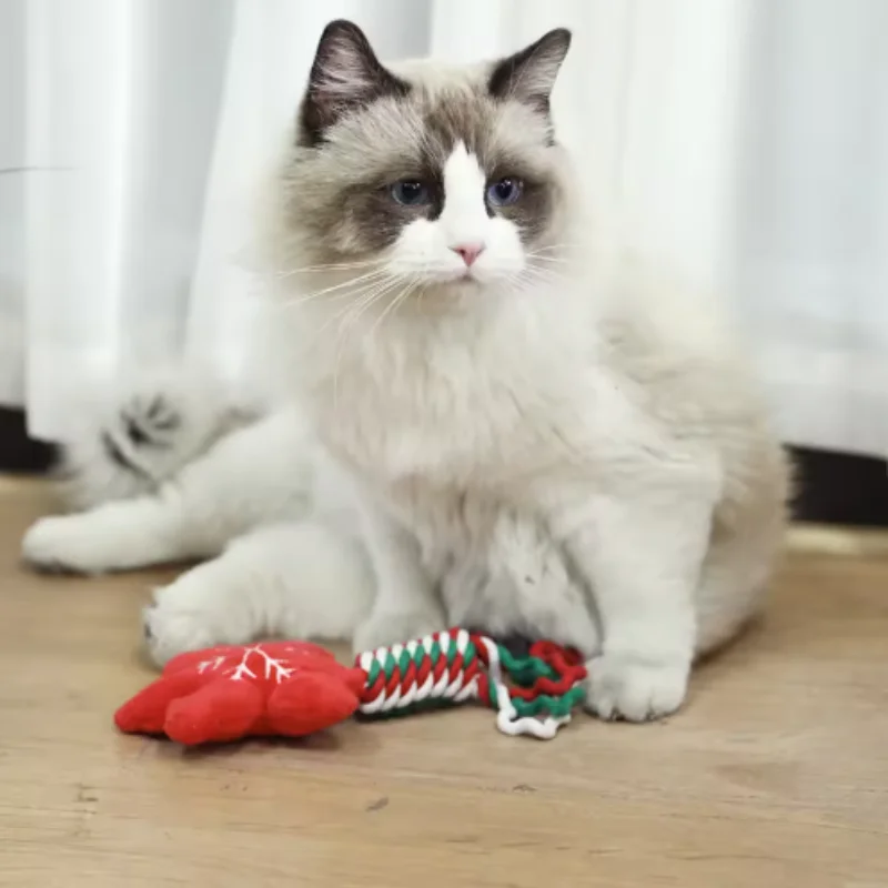 Thumbnail 4 - #69 Durable Pet Chew Toys List of Top Picks