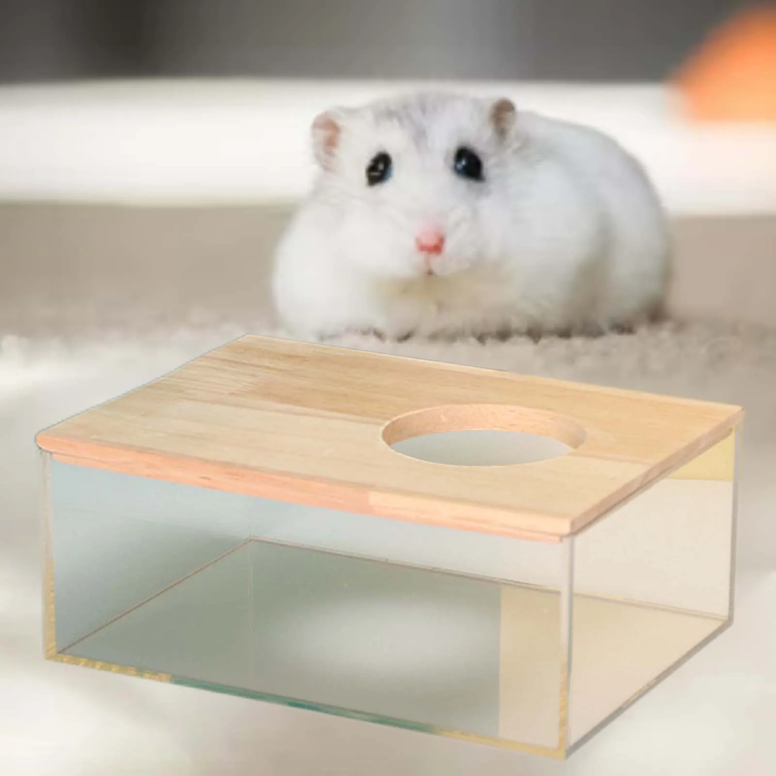 Hamster Bathroom House Clear Hamster Sand Box Bathtub Bathroom Toilet Small Pet Bath Container Transparent Supplies