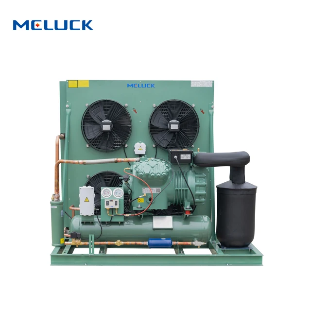 Cooling Compressor System Condenser Unit Refrigeration Cold Storage Room Freezer Condensing Unit