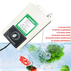 Purificatore 2000 mg/h dello sterilizzatore dell'acqua dell'aria della macchina del generatore dell'ozono con il temporizzatore di 60 minuti per alimento della carne delle verdure della frutta