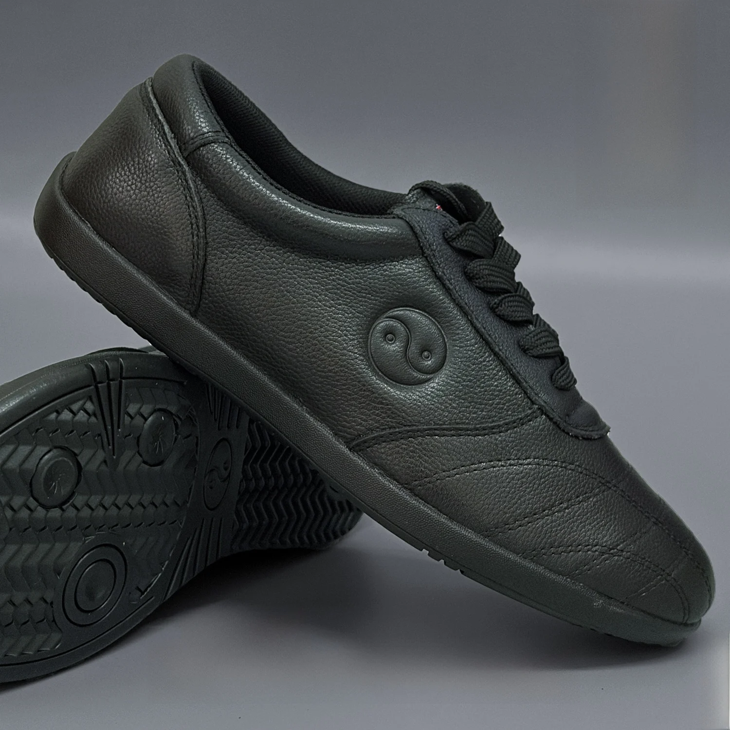 Category image: Tai Chi Shoes