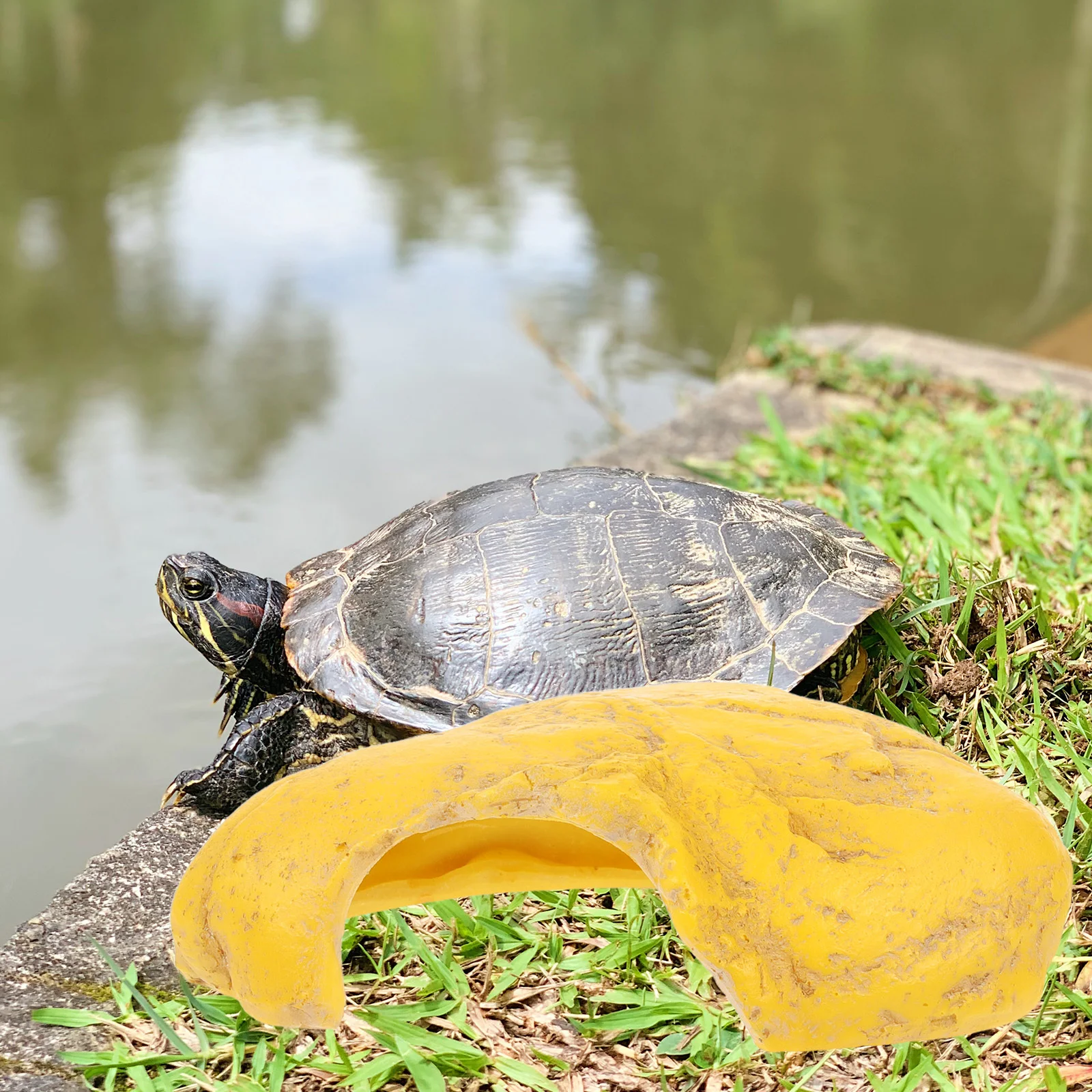 

Fish Tank Accessories Shelter Hide Hideout Decorations Aquarium Shrimp Hides Cave