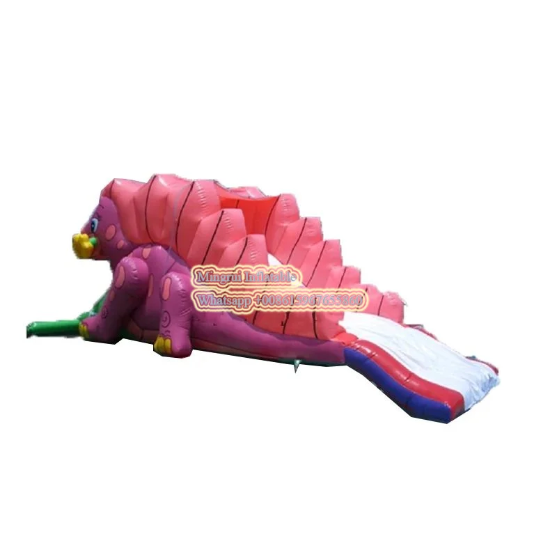 

Pink Dragon Fun game inflatable water slide for kids/ outdoor playground inflatable water game for sale