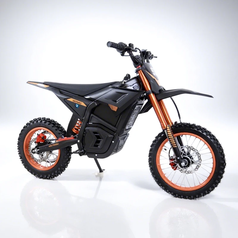 Electric Off-Road Motorcycle EM-5 Us Warehouse 48V2500W/20.8Ah Ce Certified Charger: 48v/5A Top Speed 55km/h
