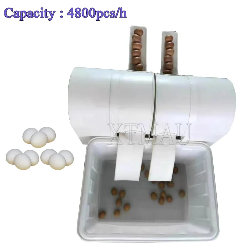 Environment-Friendly Plastic Brush Washing Egg Machine Cleaning Dirty Duck Eggs Machine Poultry Egg Washer