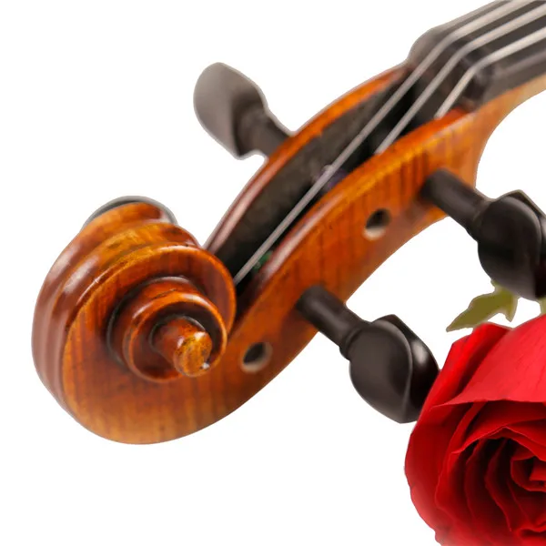 Instrument de musique Copel Paint Gloss Grade Violon musical (TL007-1)