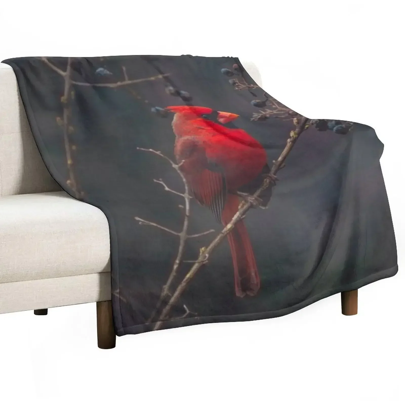 

Male Cardinal Throw Blanket Loose Hairy Moving For Decorative Sofa Blankets