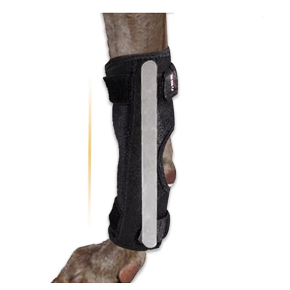 Dog Injurie Leg Knee Brace Strap Dog Arthritis Auxiliary Fixed Joint Protector Pet Accessories Pet Dog Bandages