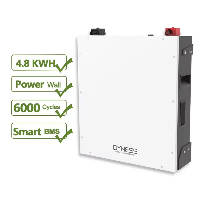 TLF Dyness 5 kW Lithiumbatterie 48 V Lifepo4-Batterie Eu Stock Power Wall 48 V 100 Ah Lifepo4-Batterie für Solarenergiespeicher