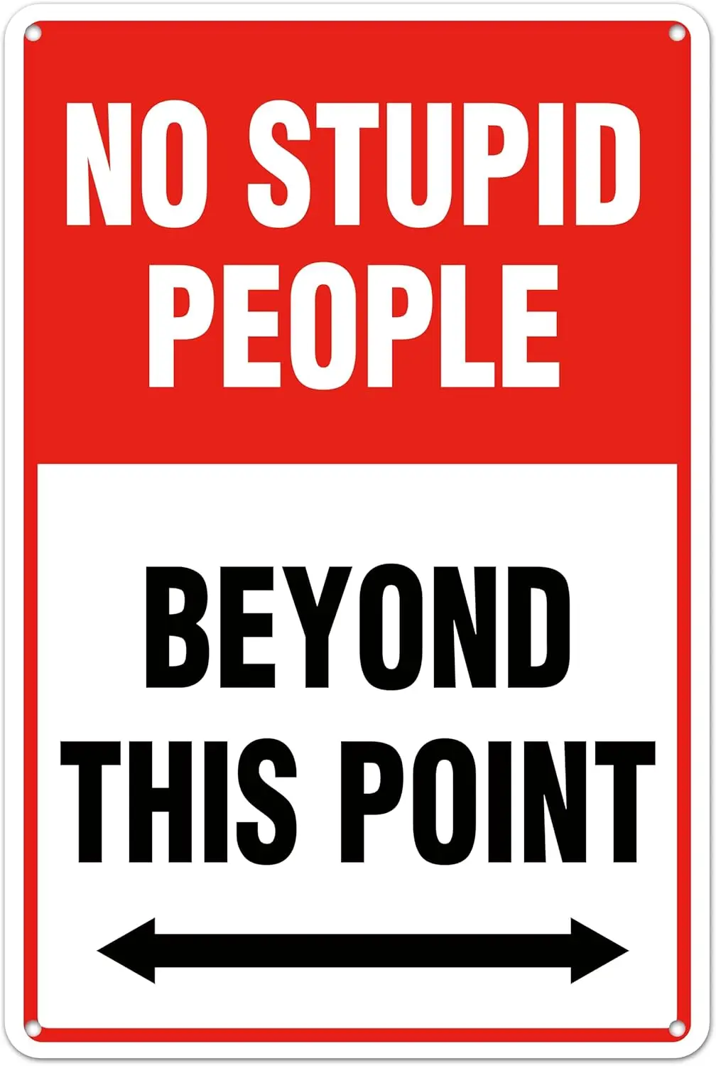 No Stupid People Beyond This Point, Funny Aluminum Metal Sign Wall Boy Gift Decor For Bars Restaurants Cafes Pubs  (123)