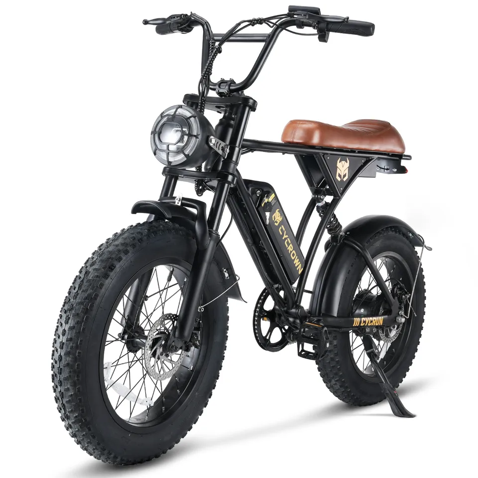  750W E Bike Fat Tire 20 Inch 32 Mile Range Dual Disc Brake LCD image 7