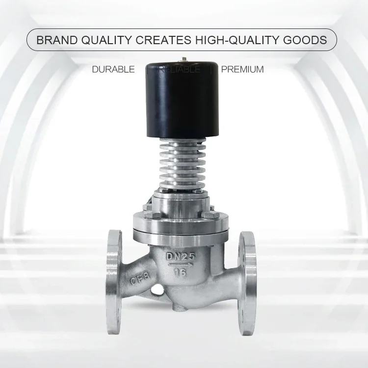 Detalle 1 de Electroválvula Stainless Steel 304 316 Explosion-Proof Steam High Temperature with Cooling Rib AC220V DC24V Flanged Solenoid Valve Agua y vapor
