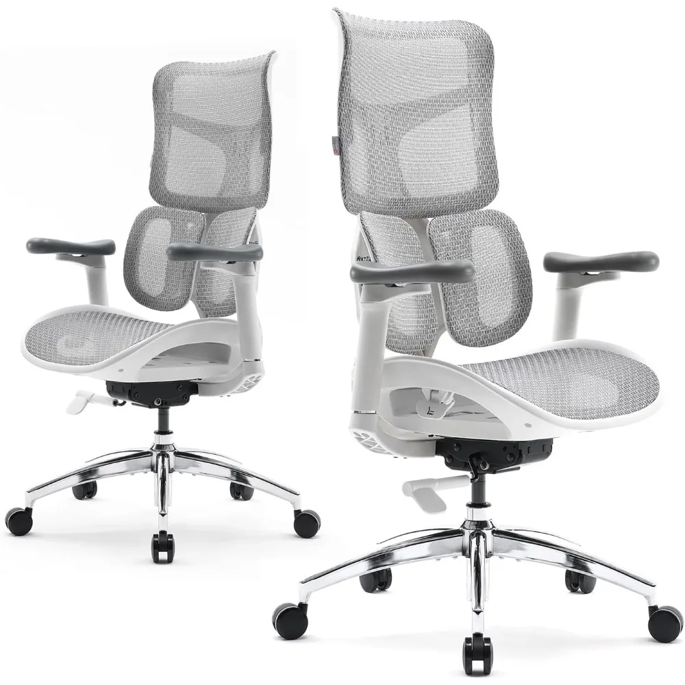 Ergonomic Office Chair - with Dual Dynamic Lumbar Support, 5-Level Adjustable Backrest