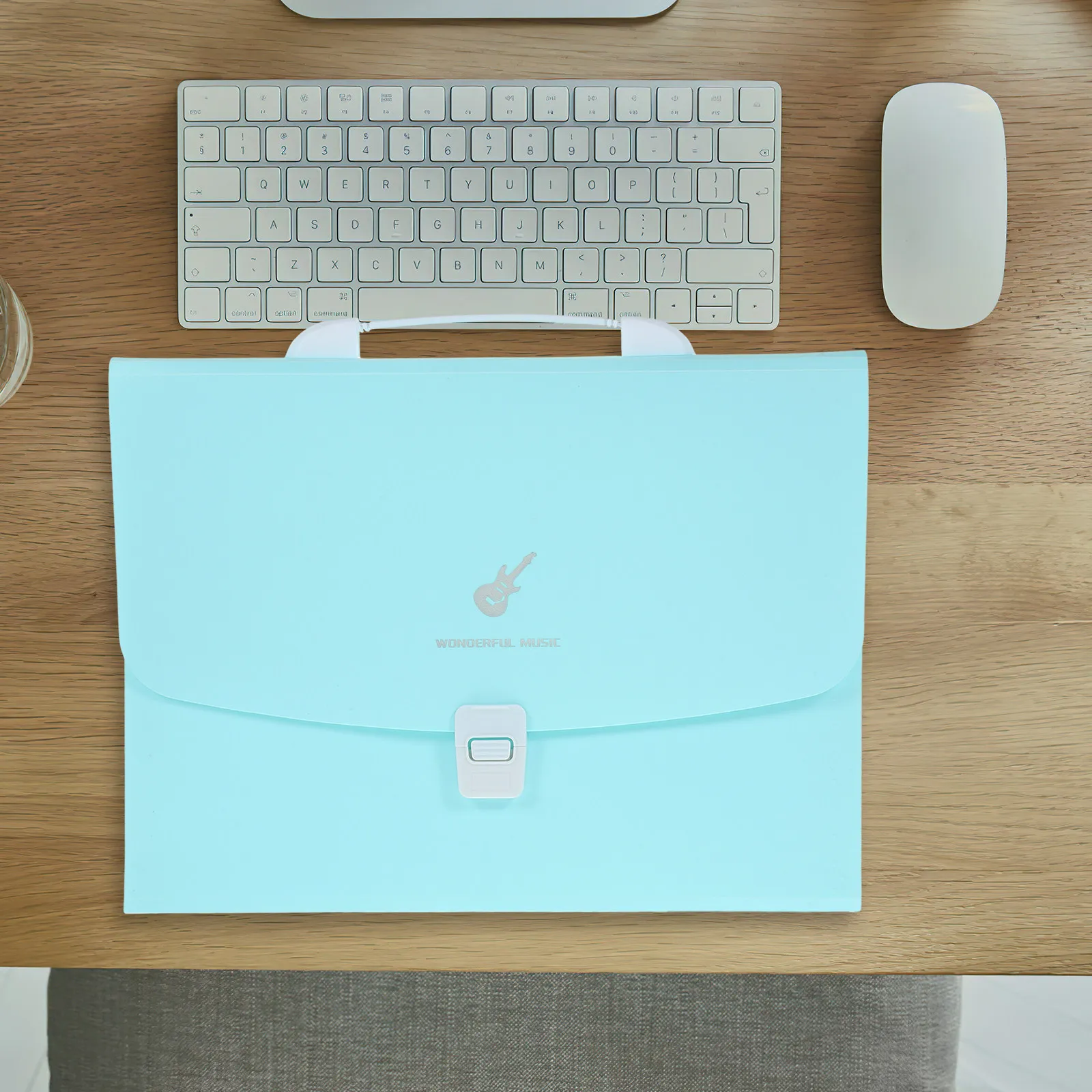 Expanding Plastic File Folder Accordion File Organizer Handheld Document Storage Organizer Multi-Pocket Folder for Office School