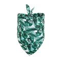 Green Turtle Leaf