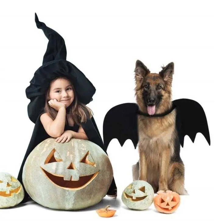 Halloween Cute Pet Dog Cat Clothes Black Bat Wings Harness Costume Cosplay Party Pets Decoration Supplies Cats Dogs Accessories