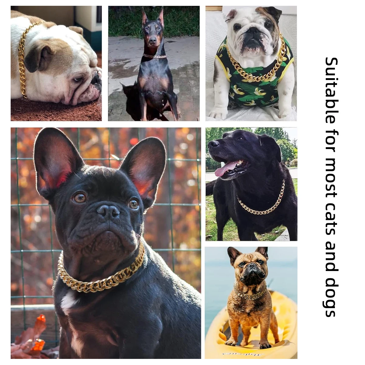 Pet Big Gold Chain Collar Adjustable Premium Dog Necklace & Cat Collar For High-End Aesthetic Richer Style Decorations Collar view 5