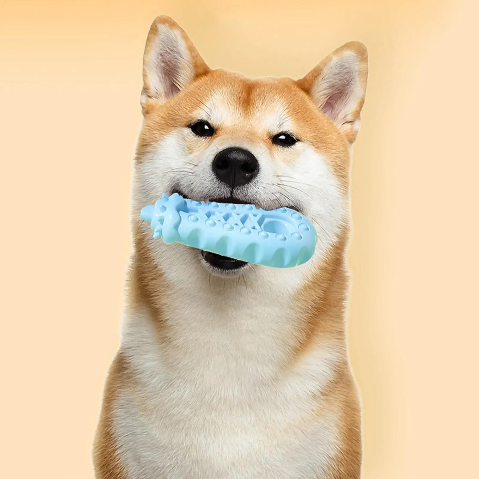Giocattoli da masticare per cani Giocattoli da masticare per cani di piccola taglia con strumento per la pulizia dei denti di animali domestici a forma di melanzana per ridurre la noia Arricchimento estivo al coperto