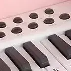 Electronic Keyboard Multifunctional Instrument Beginner Baby with Microphone for Boys Girls Children's Oversized Piano Toy Gifts