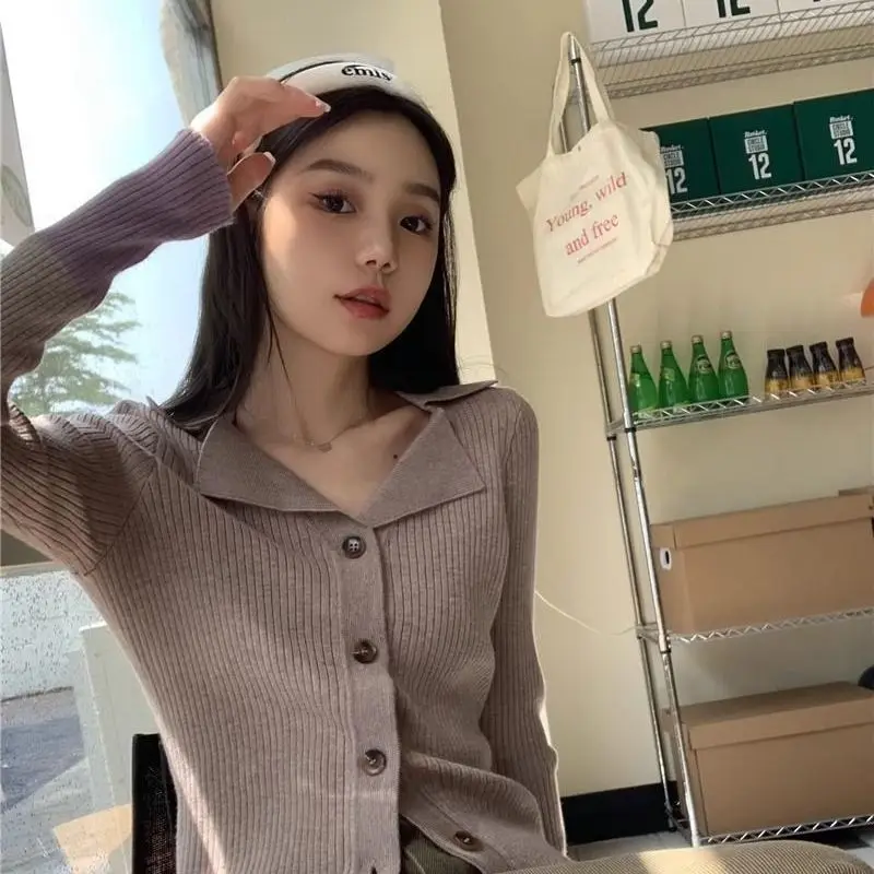 

Long Sleeve Shirts Womens Satin Blouses Button Down Turn Down Collar Slim Fit Elegant French Feminine Preppy Wear Lightweight