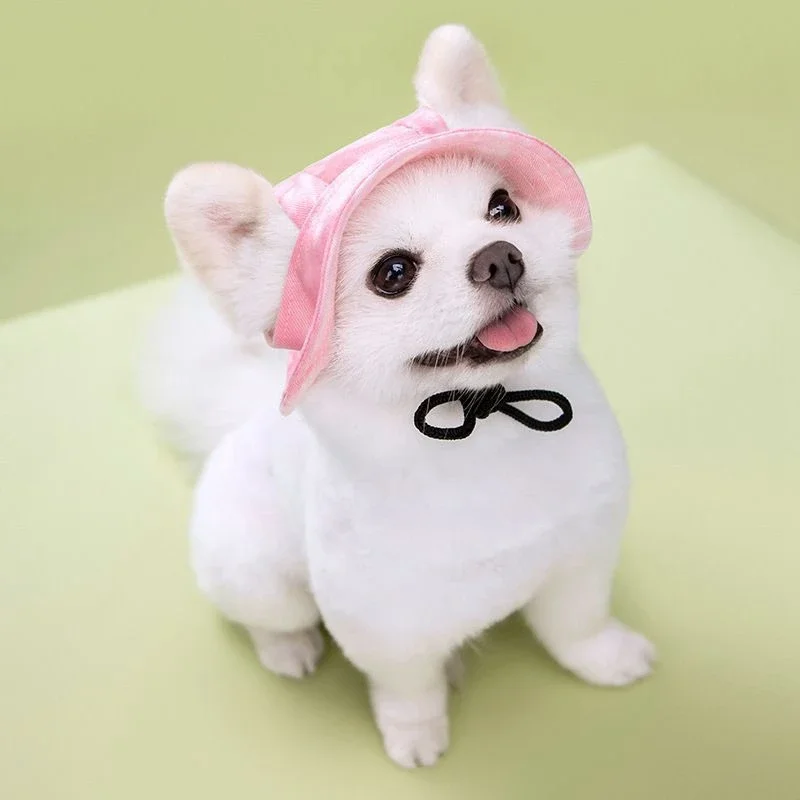 Pet Caps with Ear Hole Small Puppy Cat Round Brim Cap Dog Baseball Visor Hat Outdoor Dog Sun Bonnet Cap Travel Hat