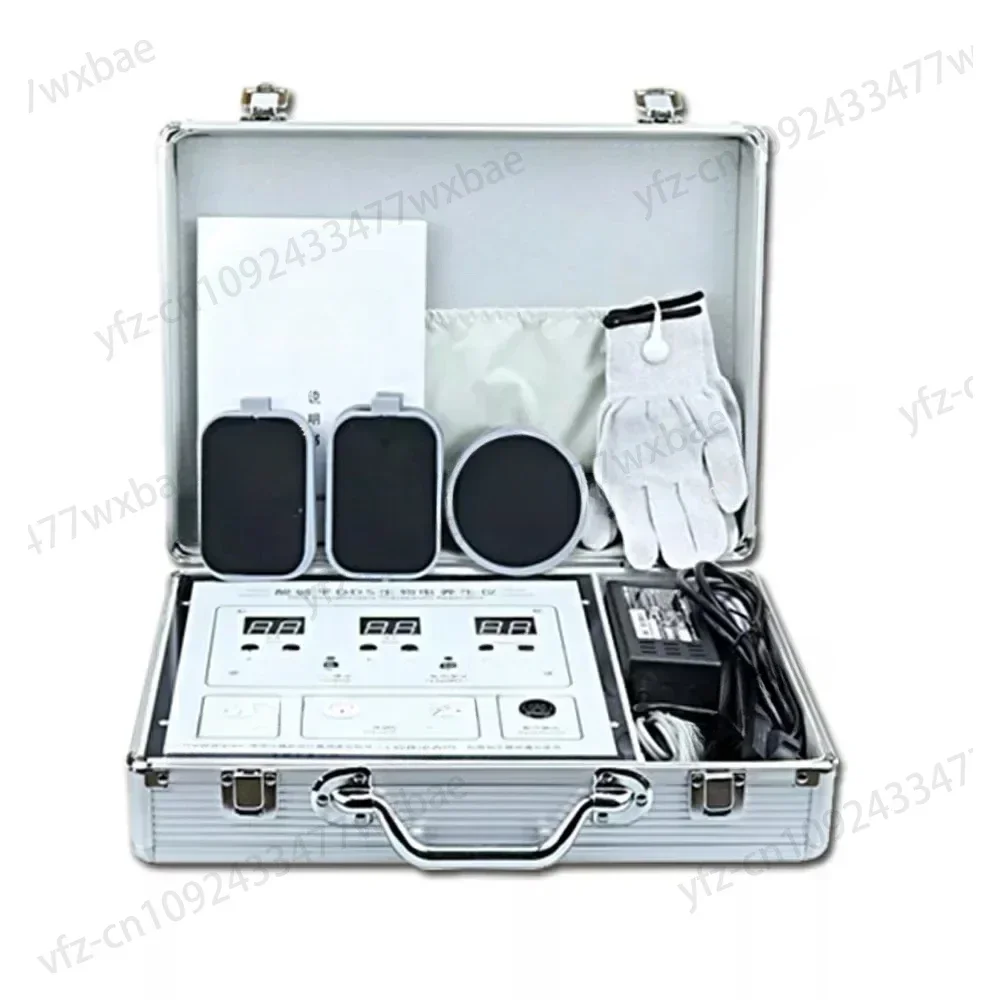 Multi-Functional Home Electrotherapy Instrument / Beauty Regimen Meridian Dod/Acid and Alkali Level / Dds Bio-Electric Massage