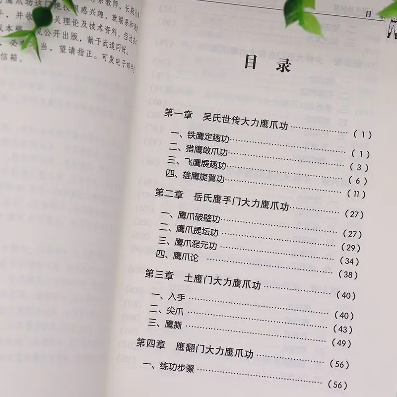 China Shaolin Temple Kung Fu Martial Art Powerful Eagle Claw Skill Book
