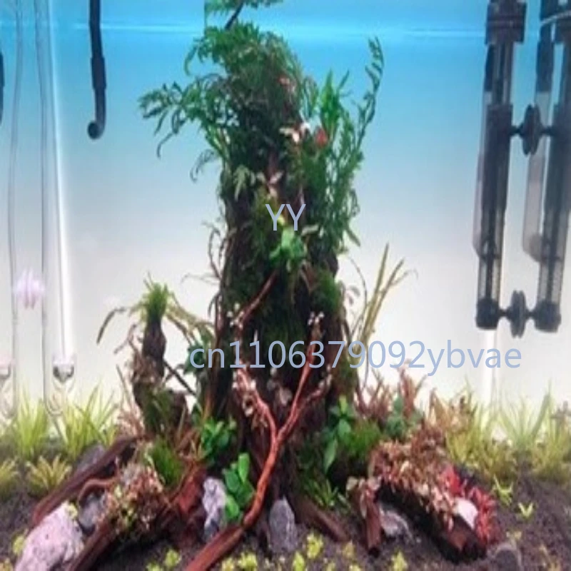 Aquarium Background Board Lumi - Aquarium Fish Rainbow review and price