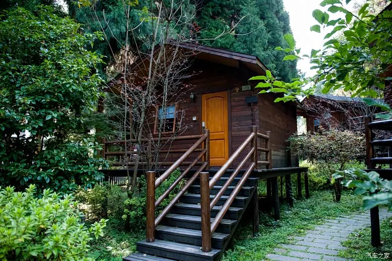 

1X 35kg high torque Coreless motor servo Metal gear digital and Stainless Steel gear servo arduino servo for Robotic DIY,RC car