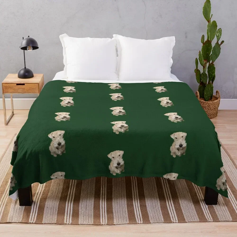 

Peekay the Lakeland Terrier Throw Blanket Soft Plush Plaid Luxury Thicken Soft Plaid Hairy Blankets