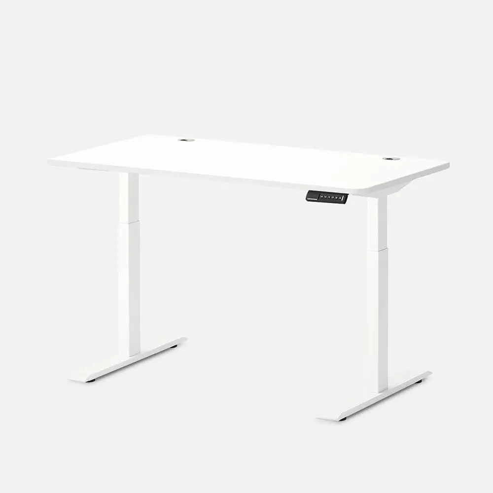 

White Dual Motor Electric Height Adjustable Standing Desk, 53 x 29