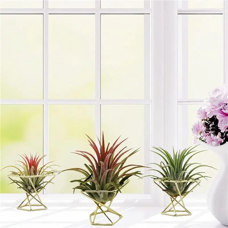 AB46-18 Pcs Geometric Air Plant Holder Airplants Rack Metal Plants Stand Planter Shelves Himmeli Decor Tillandsia Containers