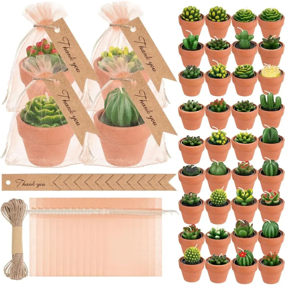 

48 Pcs Succulent Cactus Candles Set Mini Tealight Candles Baby Shower Cactus Decorations Plant Candle