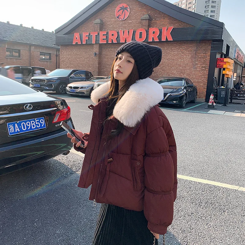 Nueva Chaqueta corta de algodón de invierno para mujer, Chaqueta de algodón holgada coreana, abrigo de algodón grueso con cola de piel grande, Parkas para mujer, prendas de vestir exteriores