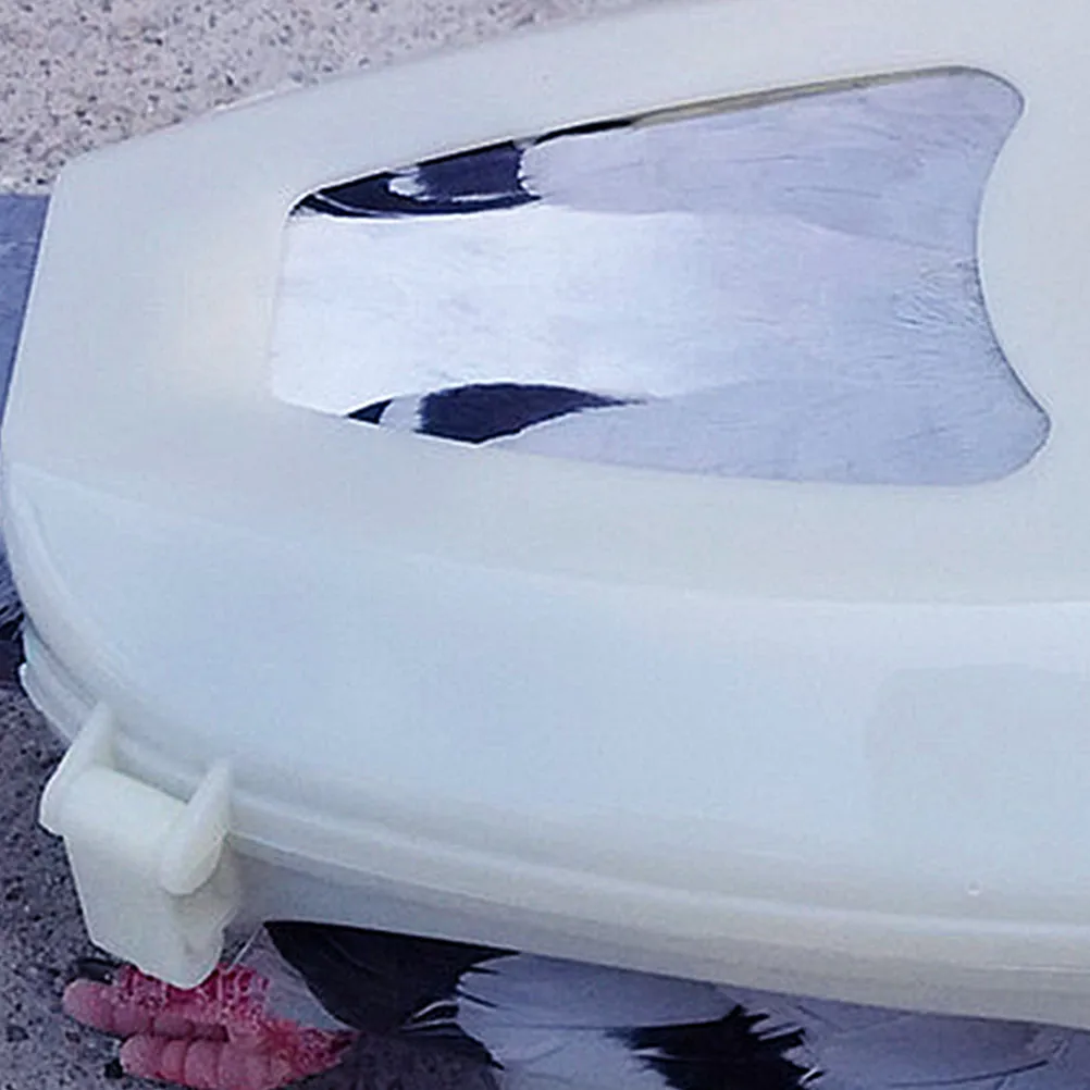 

6 Pcs Pigeon Retainer Bird Feeding Medicine Fixed Bracket Holder Tray