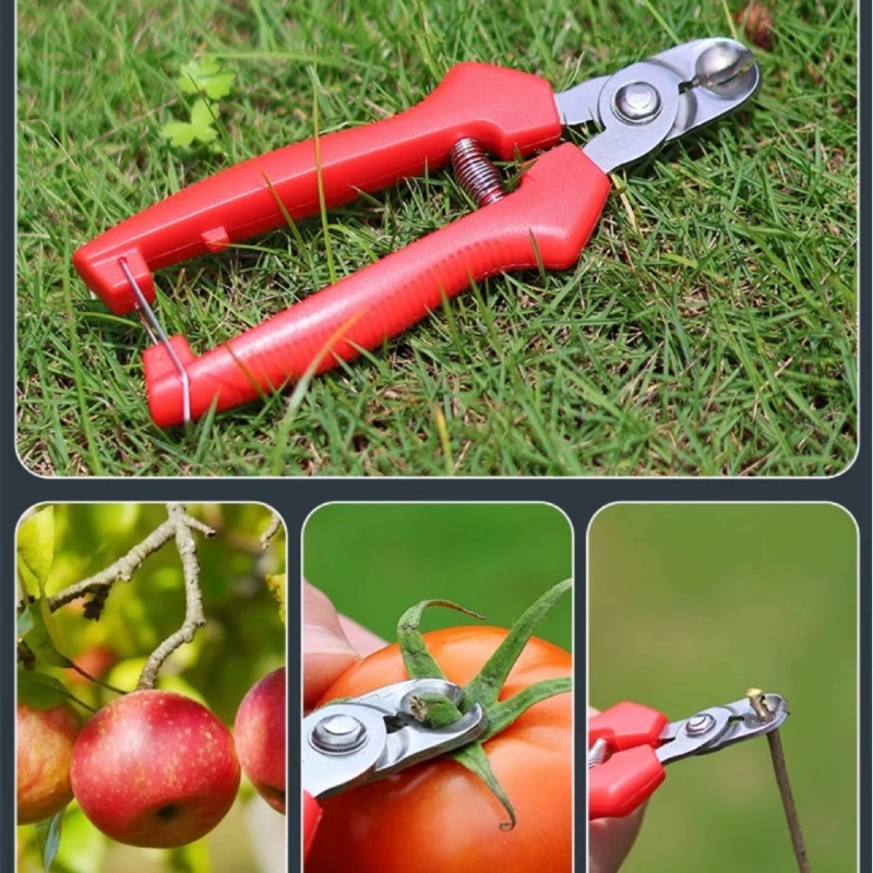 Stainless Steel Nest-shaped Fruit Picking Shears Thick Branches Pineapple Pliers Picking Concave Pruning Scissors Garden Tools