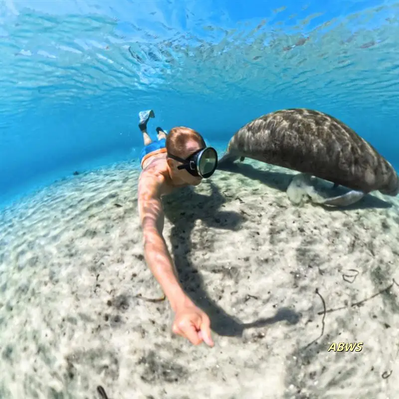 

For Insta360 X5 Underwater Dive Case, Invisible Camera Shell, 60M Capacity Waterproof Diving Protector