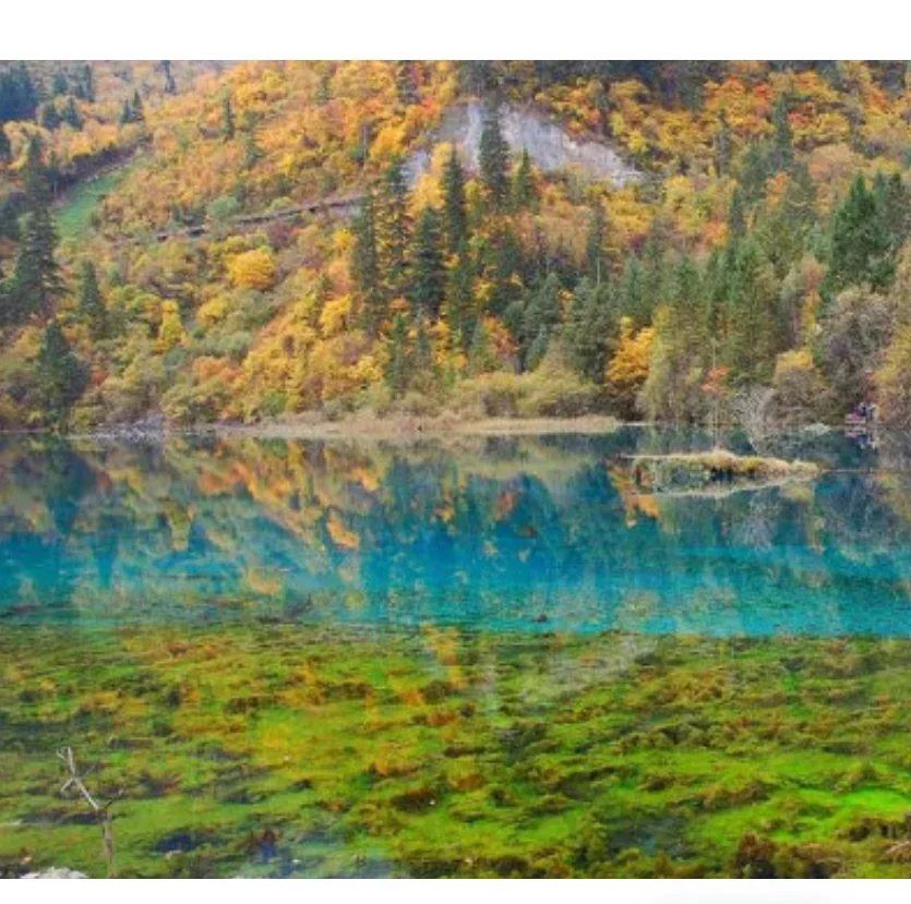 2 paia GEMFAN Floppy Proppy F5135 elica pieghevole a 2 pale da 5,1 pollici per FPV Freestyle a lungo raggio