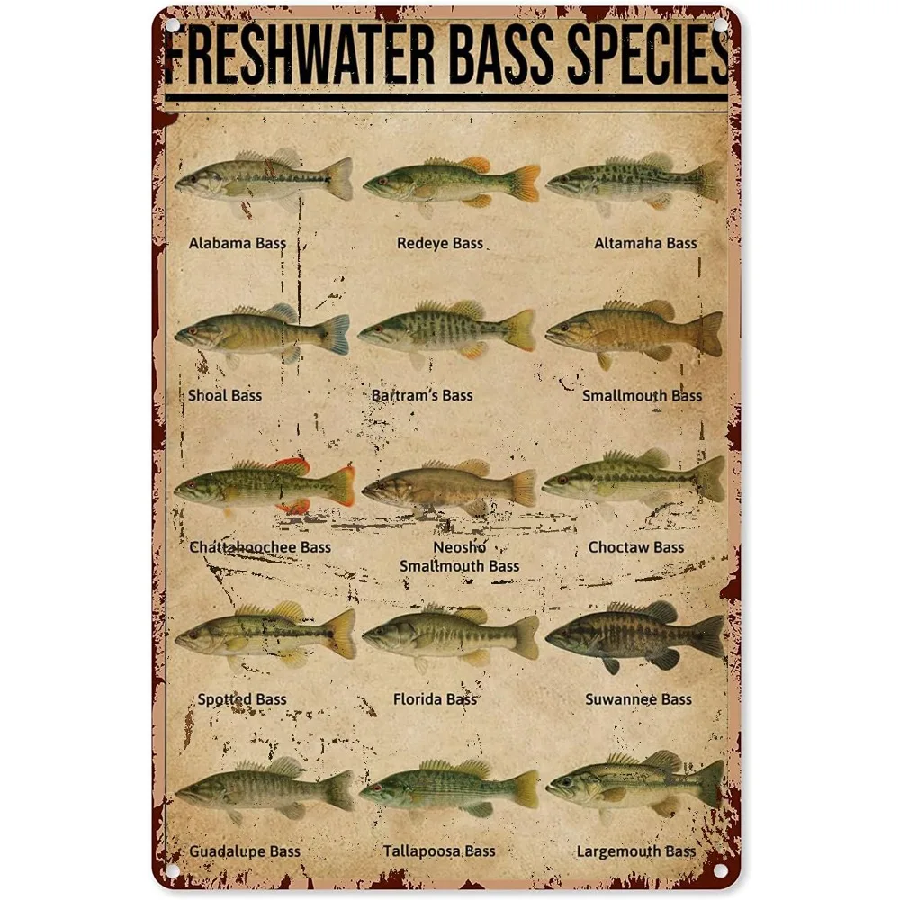 8x12-polegada-metal-de-pesca-vintage-baixo-de-agua-doce-especies-tipo-de-conhecimento-de-peixe-estanho-sinal-decoracoes-retrometal-cartaz-decoracao-da-parede-arte