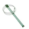 Green S