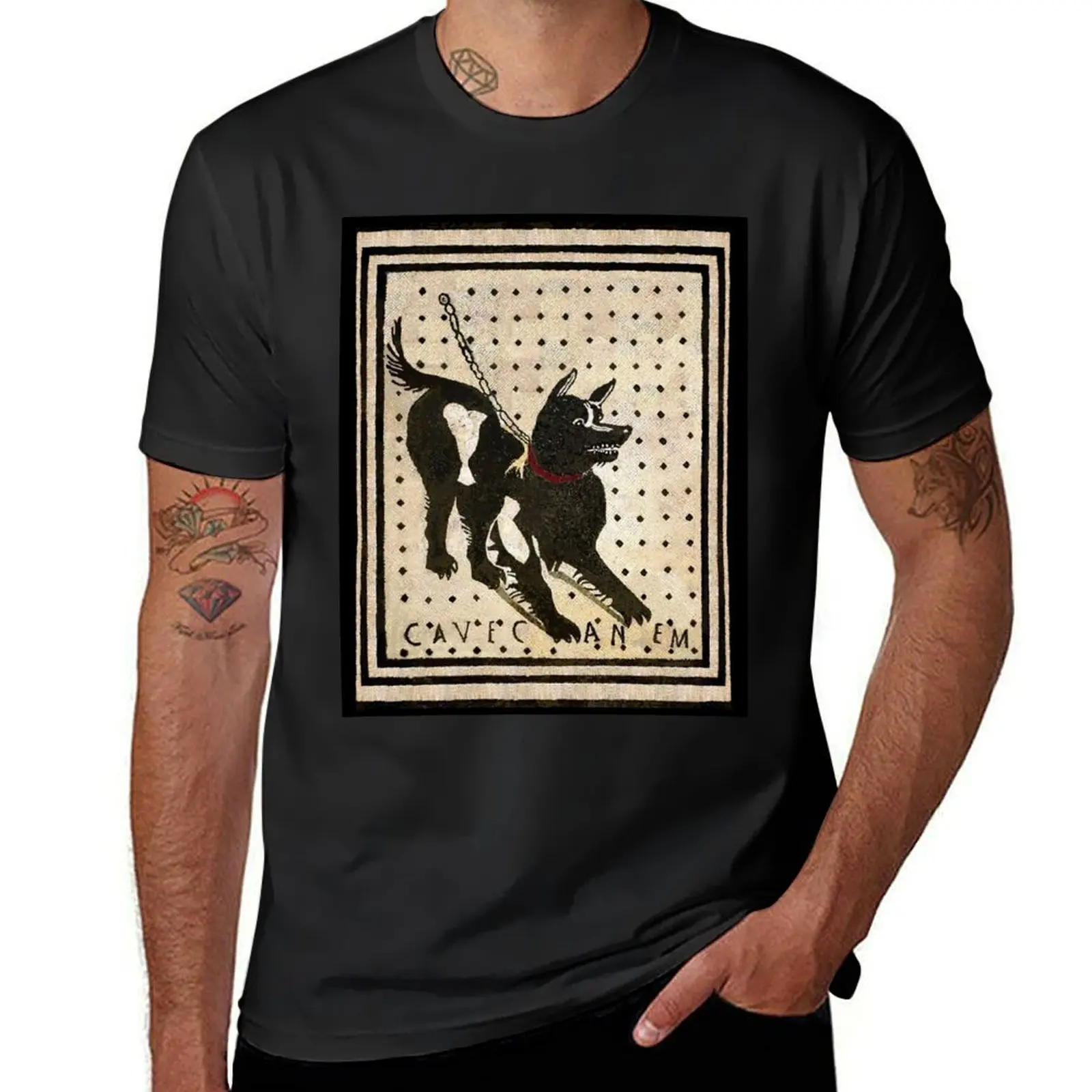 Beware of dog ( Pompeii dog mosaic ) T-Shirt anime clothes Aesthetic clothing men workout shirt